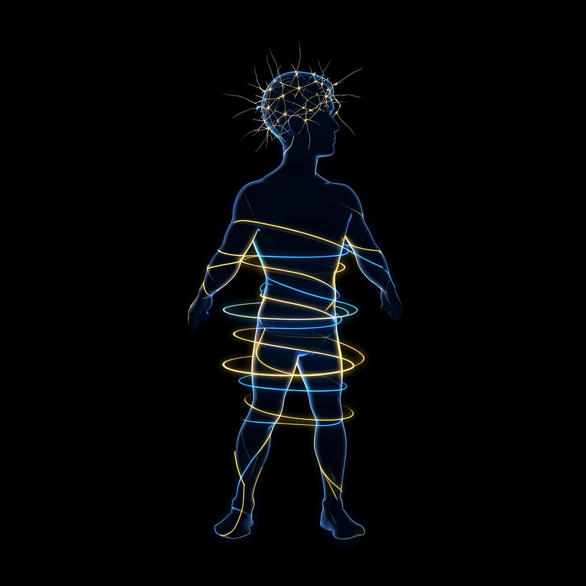 André Virtual Academy whole-athlete illustration with colored rings around an athlete